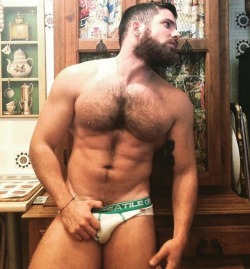 Masculine, beefy, hairy, muscles, bears and cubs