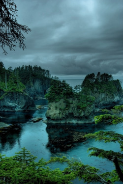 leebarguss:  Cape Flattery Washington (by Bill Ratcliffe) 