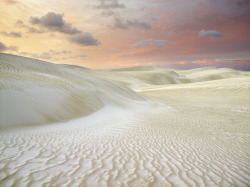 sevenvalencia:Cervantes dunes, Western Australia by Christian Fletcher. was here a few months ago, feels like a sigil for my psyche’s current landscape