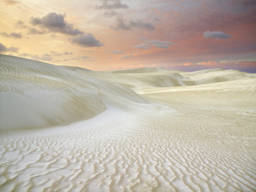 sevenvalencia:Cervantes dunes, Western Australia by Christian Fletcher. was here a few months ago, f