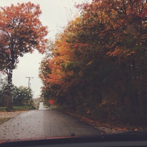 midwestern-darling:I adore rainy day drives in the fall. I cannot get enough of these gorgeous color