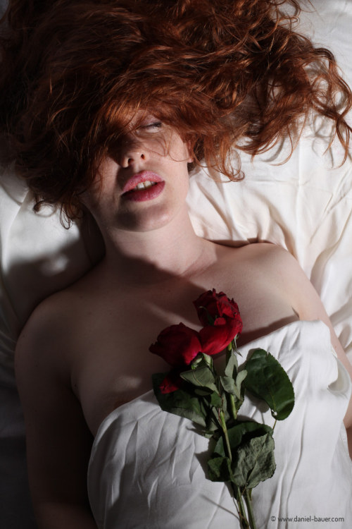 Porn roses are red, by Daniel Bauer photos