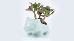 littlealienproducts:Bulbasaur Ceramic Planter