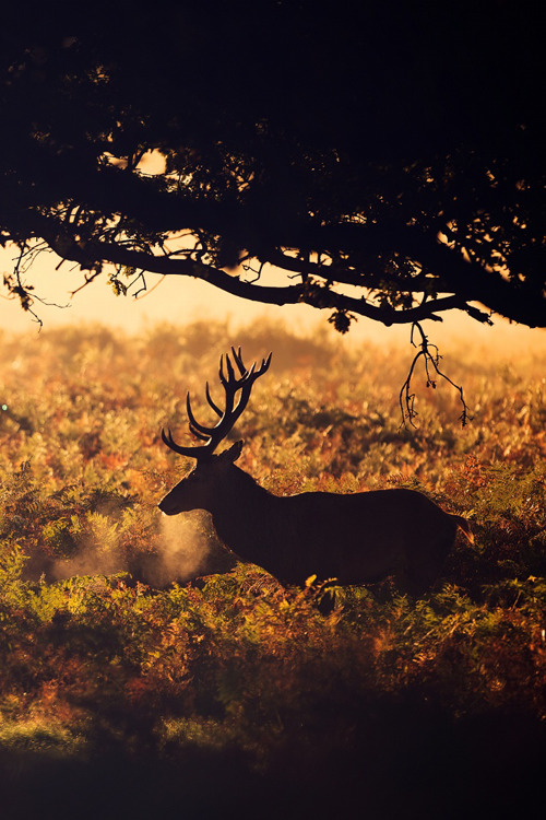 atraversso:  Early one morning…  by Mark Bridger 