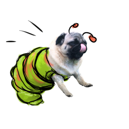 Puggerpillar likes spring!