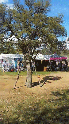 Thenatsdorf:incredible Tree Costume At The Llano Earth Art Festival. [Full Video]