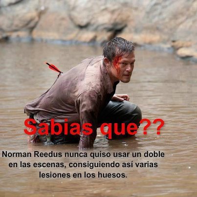 lawea-thefuck:  El jackie Chan caucásico. 