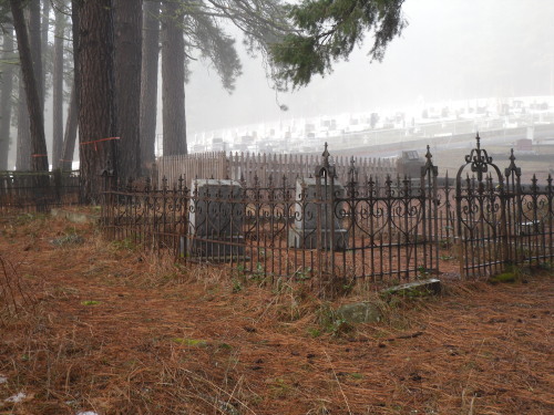 thizzle-dance:Roslyn Cemetery One of My favorite places to go it’s just so peaceful