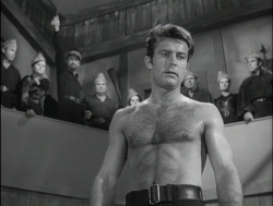 shirtlessthomas:  Robert Conrad shirtless