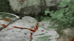 skaiskru:  Huge TV Show Meme: 1/20 tv shows - The 100Who we are, and who we need