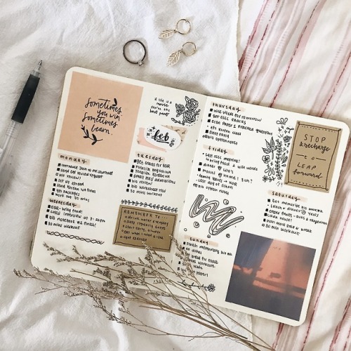 🍑 A Very Peachy Spread 🍑 I’m Currently Very Busy But Taking One Day At A Time Also Clearly Inspired