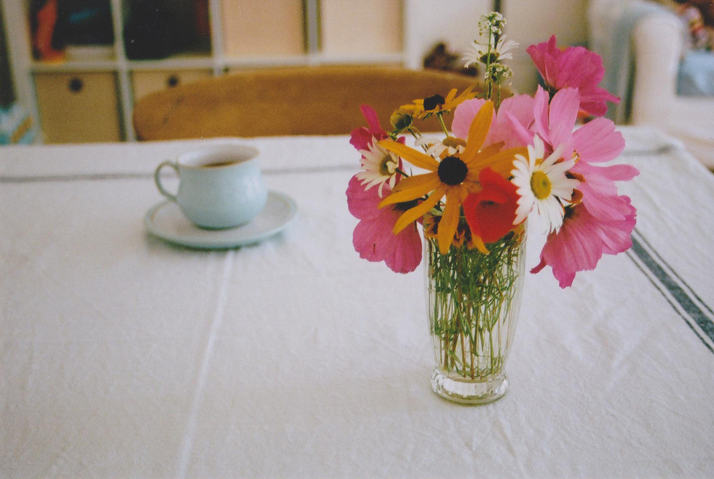 jacindaelena:     by emily*w   