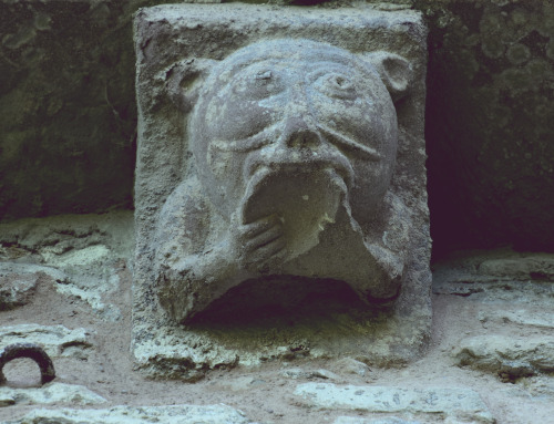 Preserved grotesques from the Norman Church at Kilpeck, Herefordshire including the best UK example 