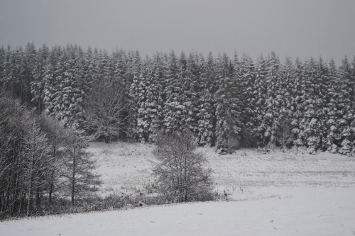 swedishvikingwoman:  Winter is finally here, i hope the snow will stay until next year :) 