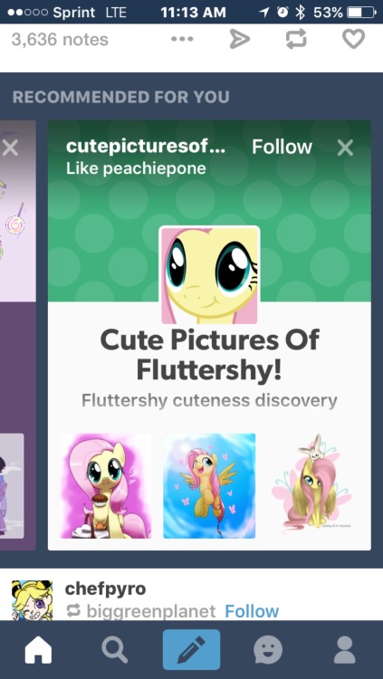 thedenofravenpuff:adurot:And I’m pretty sure this one’s meant for @thedenofravenpuff.That blog was made for me… Originally posted by gifuxeYasss best manesix pone <3