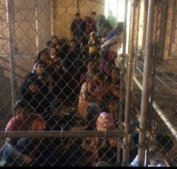 rockworm: weavemama:  Let me fuckin tell ya’ll about these “detention centers” undocumented immigrants go once they’re rounded up by ICE officers. These innocent people have to go through one of the most gruesome and harsh conditions just for