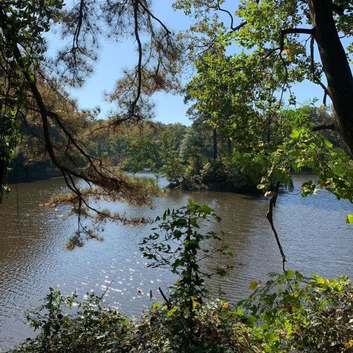 PLEASE READ:There’s a lake behind my apartment that my girlfriend and I took a walk around yesterday