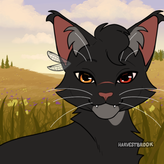 Nightcloud/Crowfeather family by Songsteps-Designs on DeviantArt - Warrior  cats art, Warrior cat drawings, Warrior cats fan art