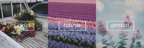 sunnyafternoooon-deactivated202: the signs + their seasons (in the order of the zodiac - aries-pisces; spring, summer, autumn, winter)