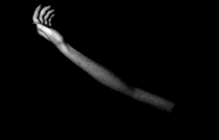 sunlight-on-skin:  ☂ Gif made by me ☂