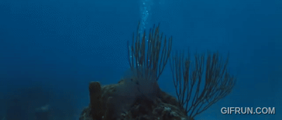 02db56d577e08076fcfb7fa0ae6e81f691425c90.gifv