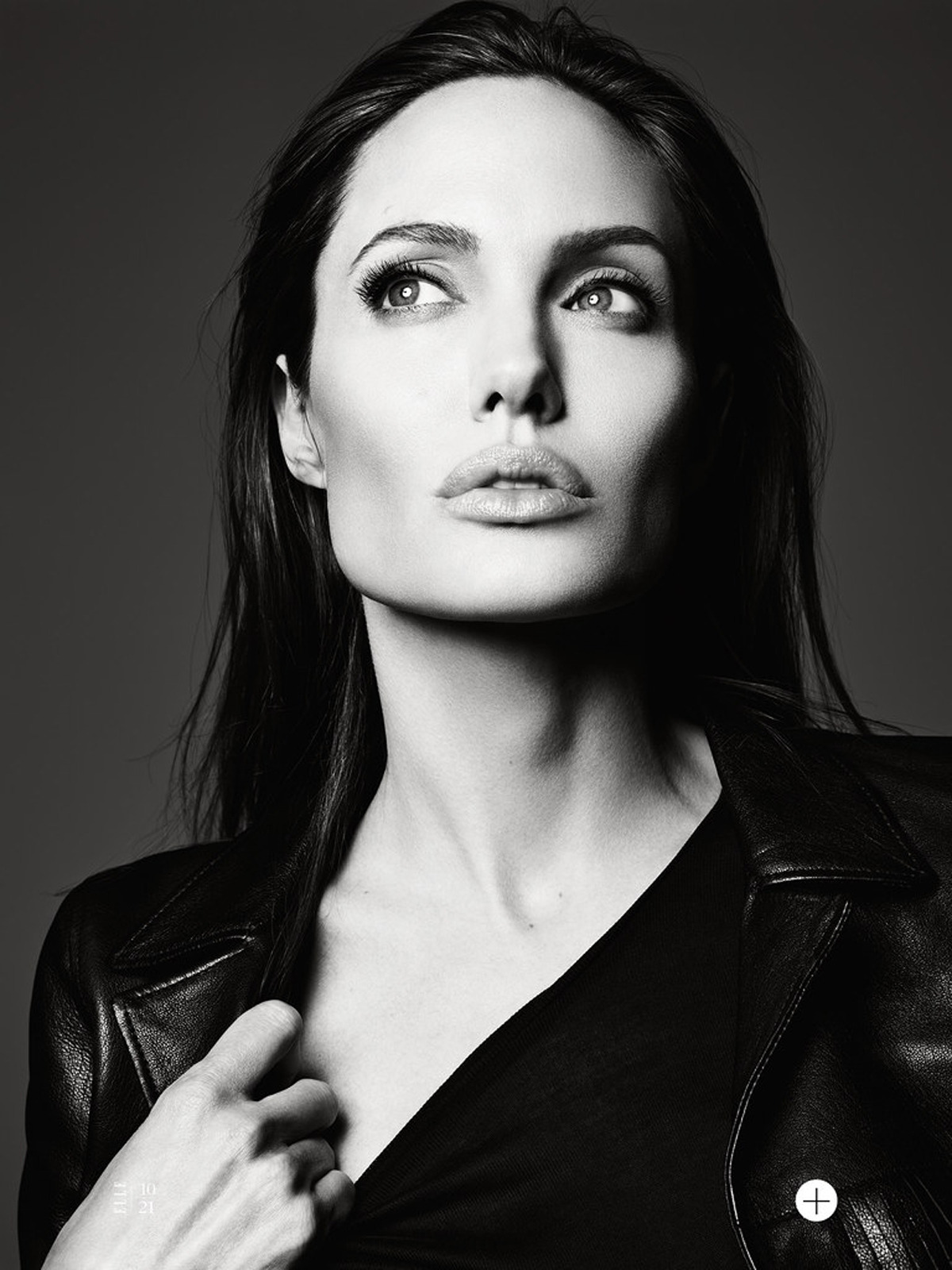 emclouzet:  vodkaandberries:  33113:  wowthing:  edenliaothewomb:  Angelina Jolie,