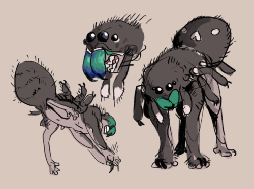 manyblinkinglights:snakegay:heres my spiderverse oc.. the WERESPIDER. she was bitten by a werewolf a