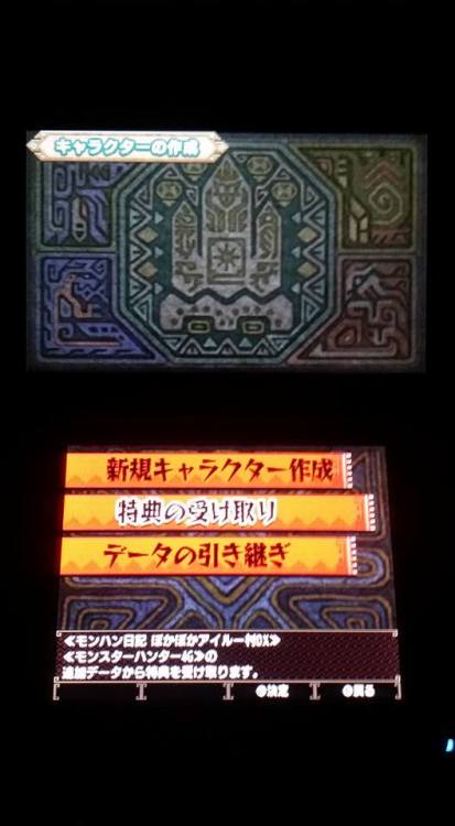 If you guys want to know how to get the bonus items for having Monster Hunter 4G and Poka Poka Villa