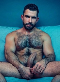 Hairy Men R The Hottest