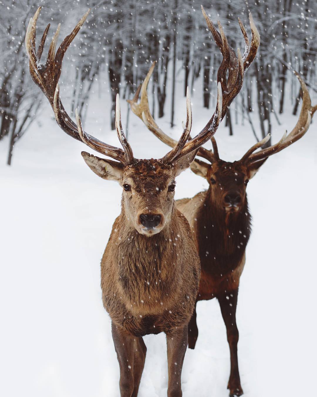 grace–upon–grace:Valerie Derome Masse