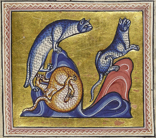 catsbeaversandducks: Just some Medieval paintings of cats licking their butts… Via Design You Trust