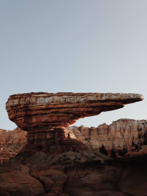 danielodowd:  josephboggs