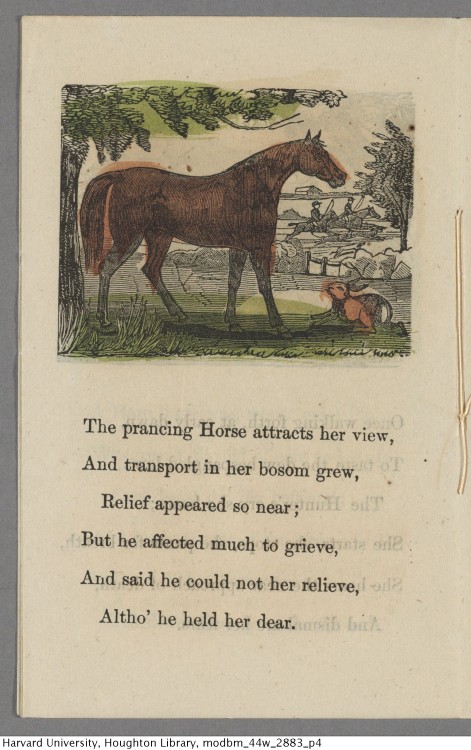 Hare and many friends [Children&rsquo;s chapbook, early 19th century.]*44W-2883Houghton Library, Har