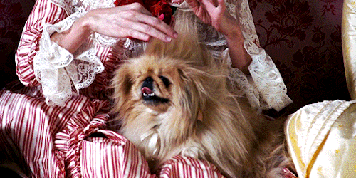 pariztexas: Dogs in Marie Antoinette (2006) dir. Sofia Coppola