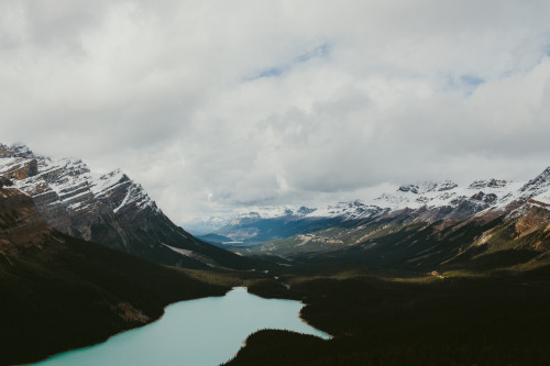 Peyto Lake, AB