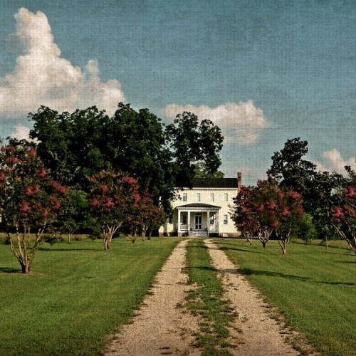 Robert Carter Hilliard House, ca. 1815: Northern Nash County, North Carolina #federalhouses #plantat