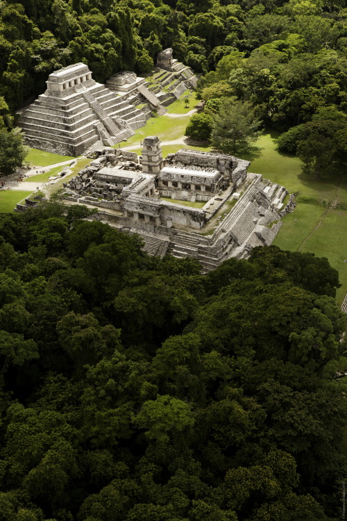 Palenque / Mexico (via algrano.mx).