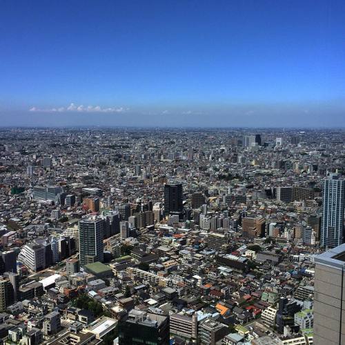 djkei:  Bye bye crazy #Tokyo see you soon #NYC  (at Park Hyatt Tokyo –  パーク ハイアット 東京)