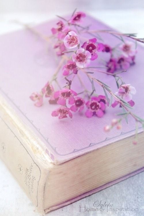 A Positively Beautiful Blog 2