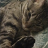 jskrilla:  I just wanna make out