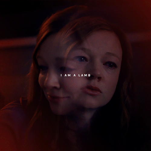 —notes On Self Destruction