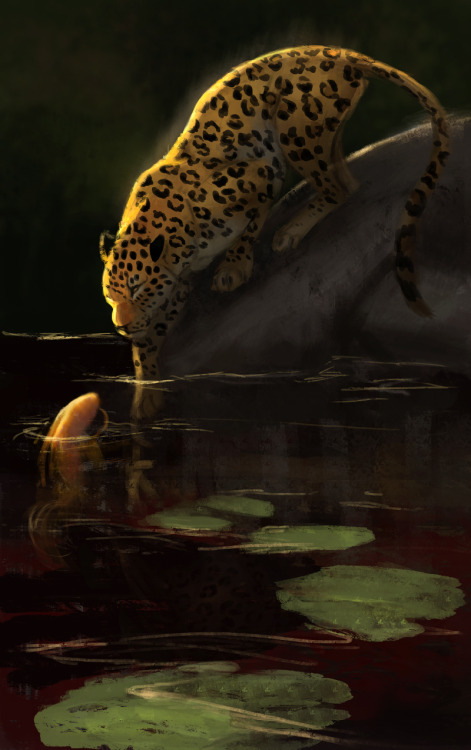 Leopard and Koi by JadeMere