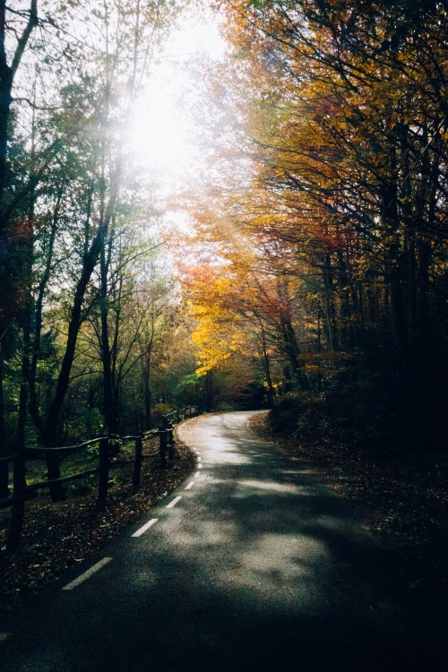 Autumn rides in the cold.