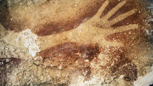 npr:Prehistoric cave paintings of animals and human hands in Indonesia are as ancient as similar pai