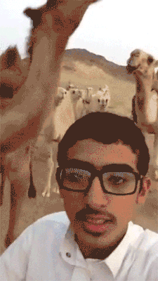 blazepress:  Camel selfies are a bad idea.
