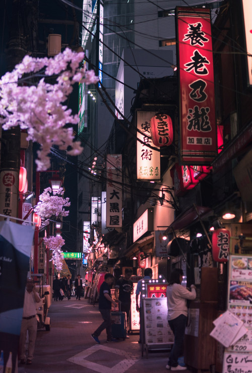 inefekt69:Omoide Yokocho in Shinjuku - Tokyo, Japan