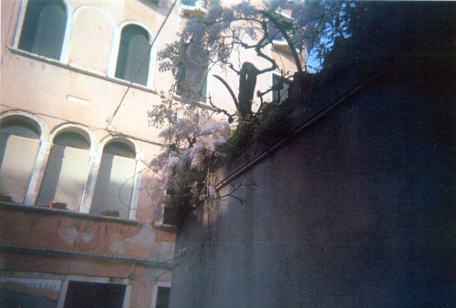 Italy through a disposable camera 35mm color film