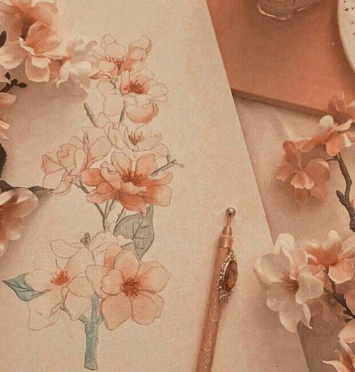 strawberries-and-aesthetics - Positive vibes and pretty aesthetics