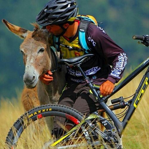 blog-pedalnorth-com: @Regrann from @enduro_spain - Balance between the animal world, human being an