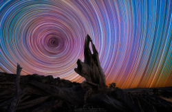 spaceexp:  Startrails   Photo by Lincoln